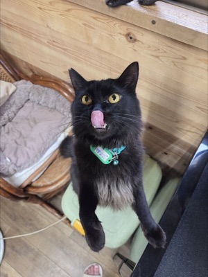 Masakazu, grown up strong and healthy