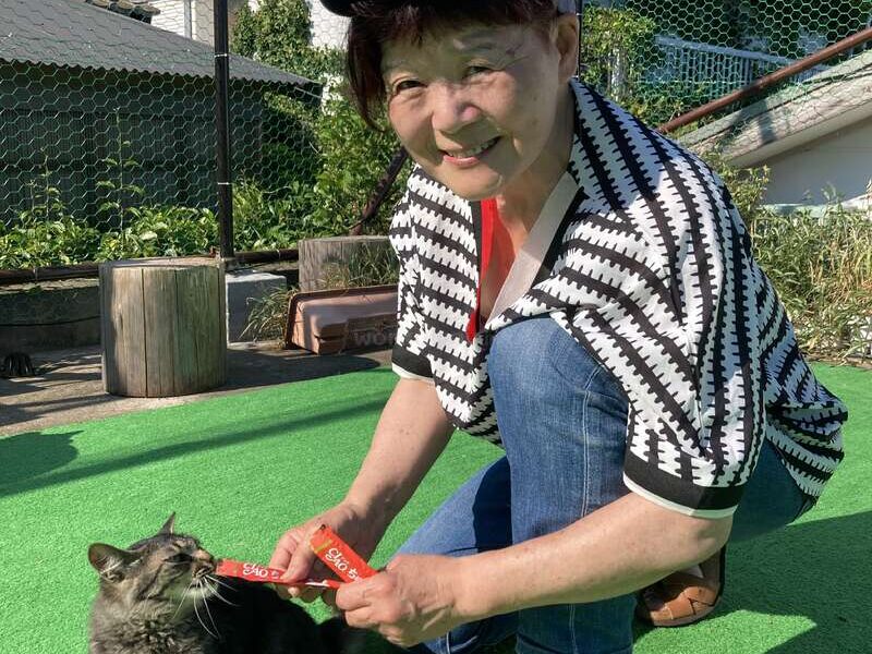 島宿御縁 × 保護猫活動について