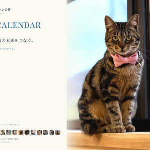 2027年ニャンニャンの里カレンダーの表紙。キジトラ猫がピンクの蝶ネクタイをつけて窓辺に座っている写真