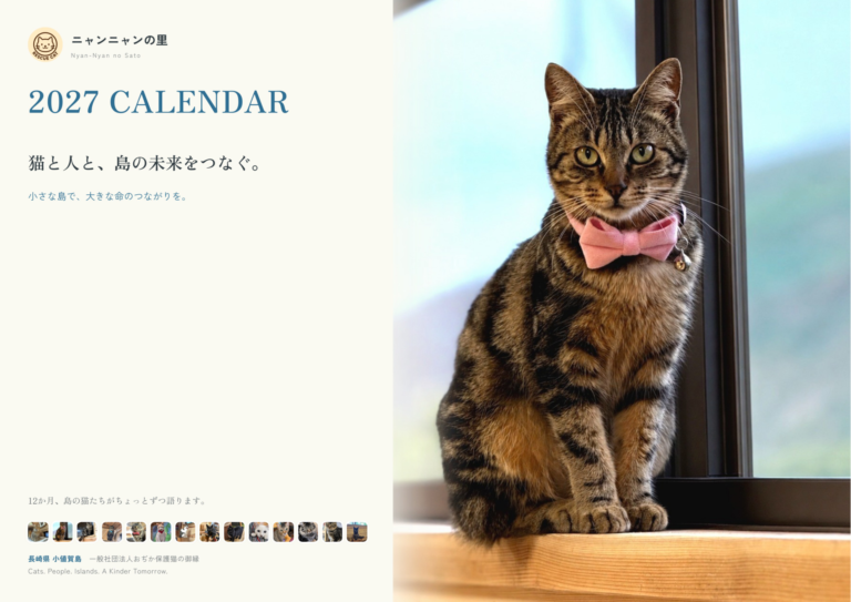 2027年ニャンニャンの里カレンダーの表紙。キジトラ猫がピンクの蝶ネクタイをつけて窓辺に座っている写真