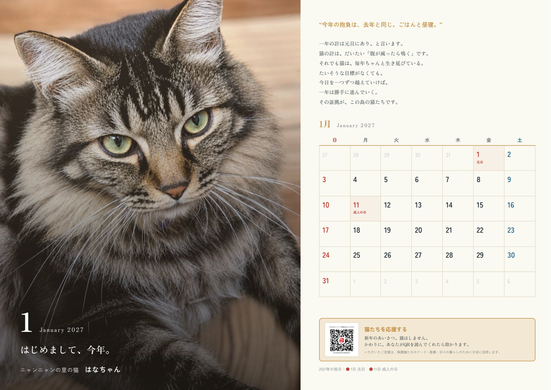カレンダー1月のページ。猫のはなちゃんの顔写真と1月のカレンダー本体
