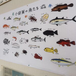 小値賀の魚たちが描かれたタオル