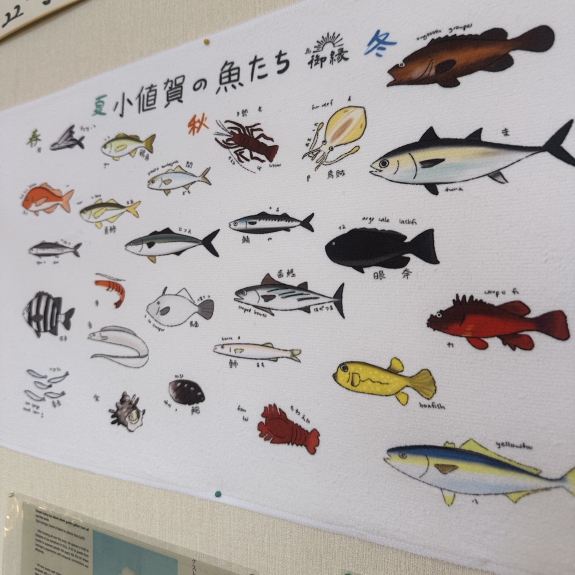 小値賀の魚たちが描かれたタオル